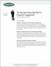 The Big Deal About Big Data For Customer Engagement