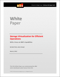 Storage Virtualization for Efficient Operations