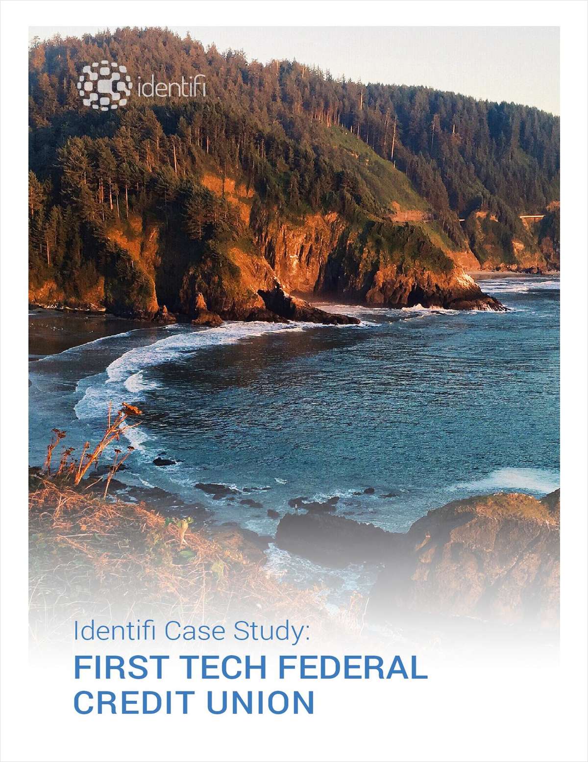 First Tech Federal Credit Union: A Distinctly Different Financial Institution