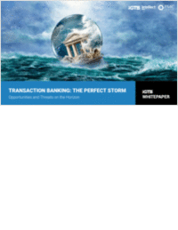The Perfect Storm - Opportunities and Threats on the Horizon for North American CFO's, Treasurers and Bankers