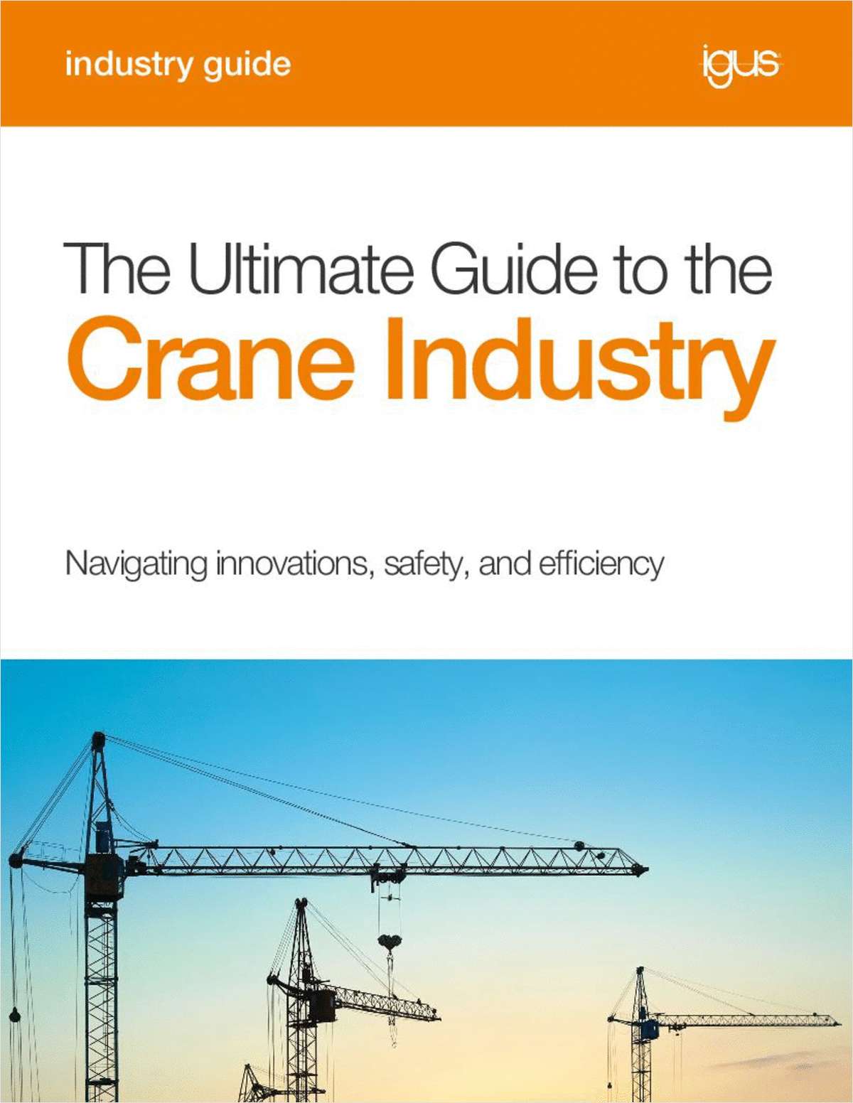 The Ultimate Guide to the Crane Industry