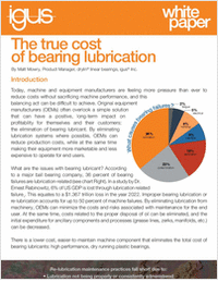 The True Cost of Bearing Lubrication