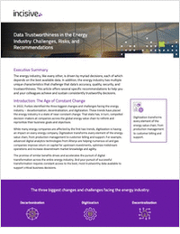 Data Trustworthiness in the Energy Industry: Challenges, Risks, and Recommendations