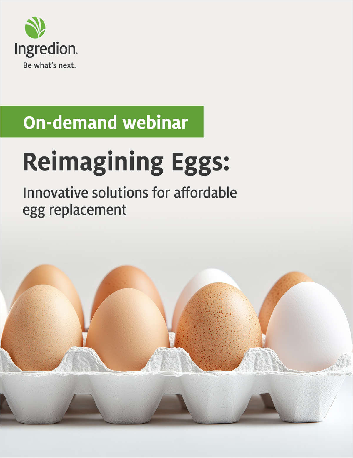 Reimagining Eggs: Innovative solutions for affordable egg replacement
