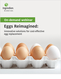 Eggs Reimagined: Innovative solutions for cost-effective egg replacement