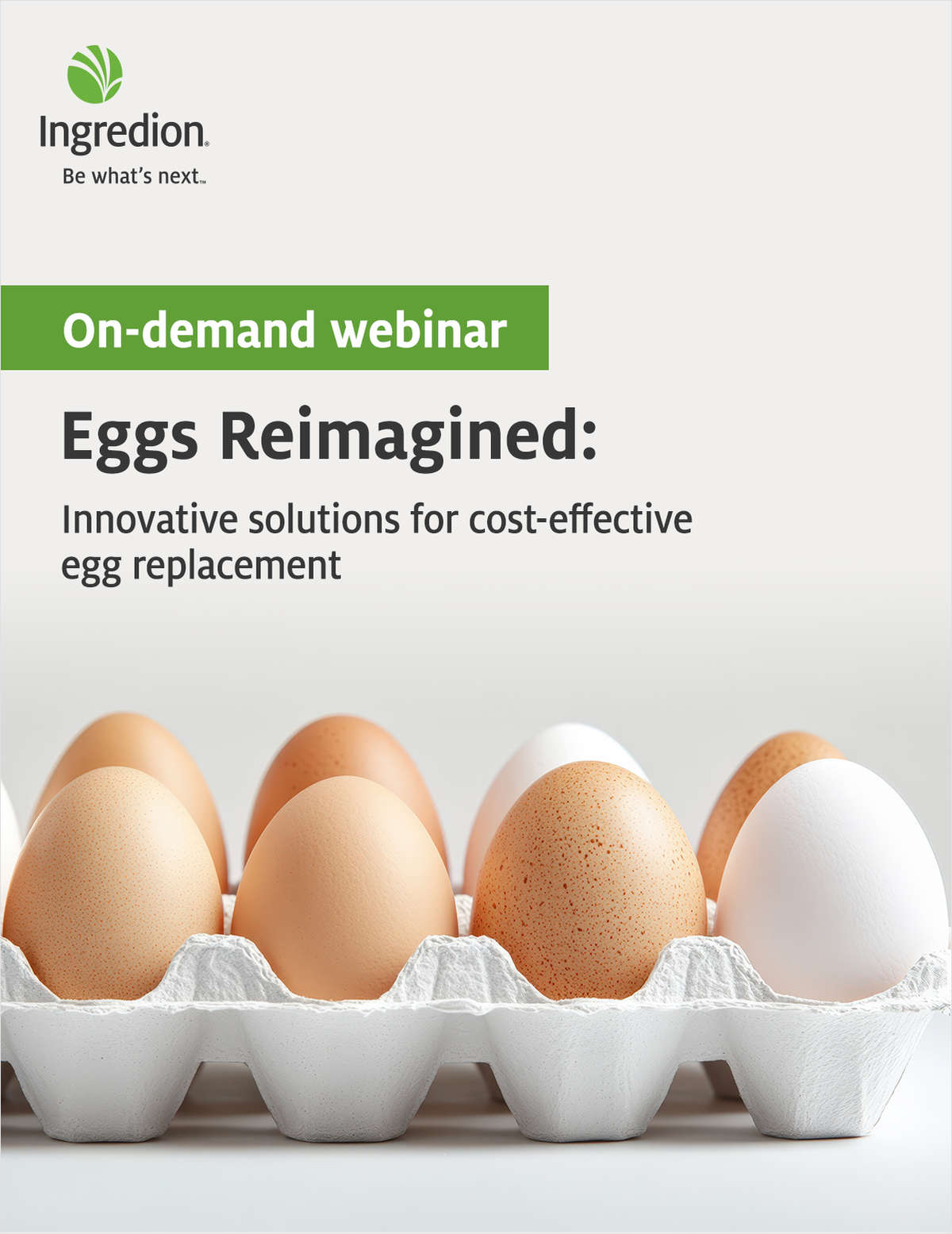 Eggs Reimagined: Innovative solutions for cost-effective egg replacement
