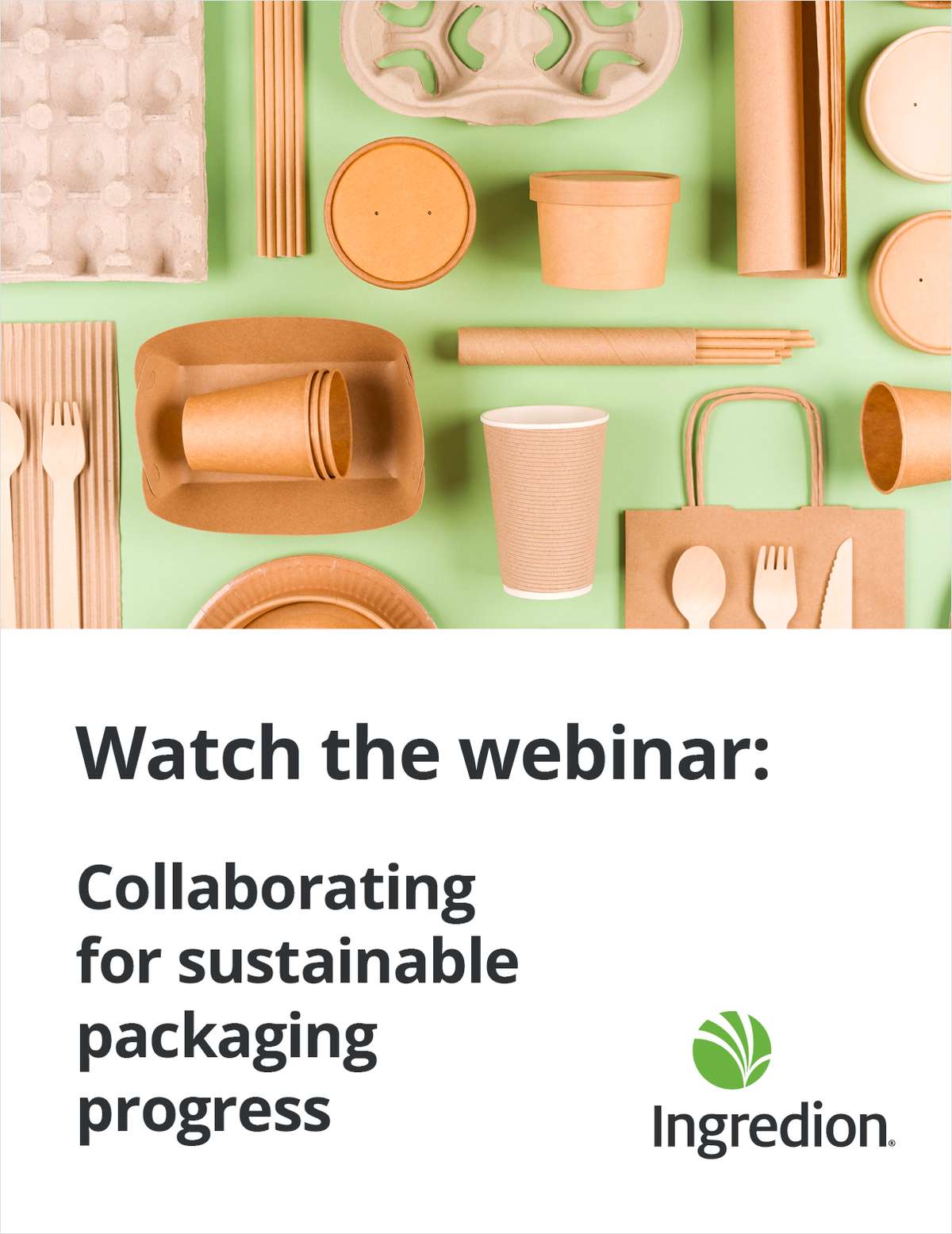 Watch the Webinar: Collaborating for Sustainable Packaging Progress