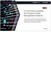 C-Level Execs Leading the Charge on Data Management Initiatives