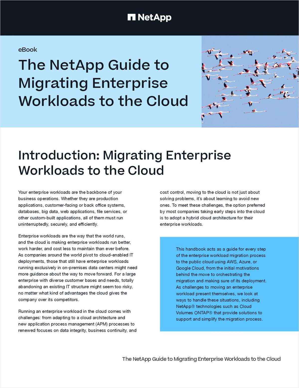 The NetApp Guide to Migrating Enterprise Workloads to the Cloud