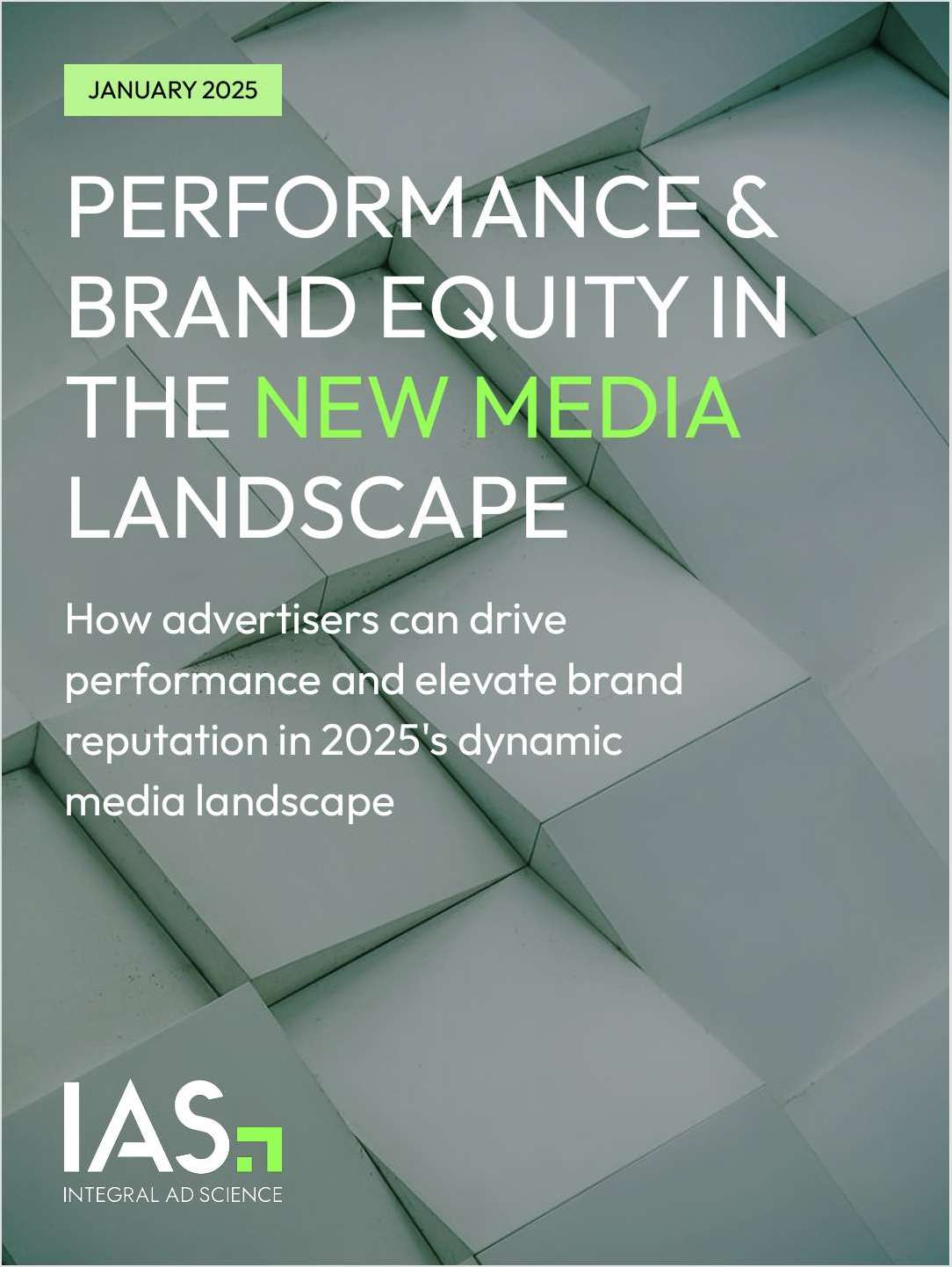 Performance & Brand Equity in the New Media Landscape
