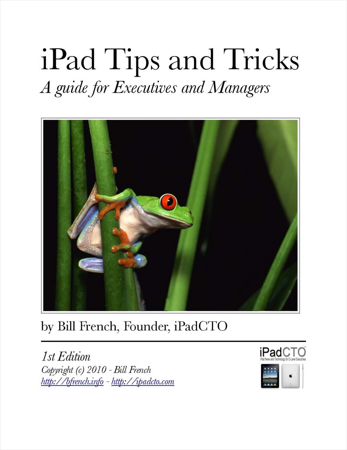 iPad Tips and Tricks - A Guide for Executives and Managers