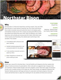 How Shopify Revolutionized Northstar Bison's Online Presence