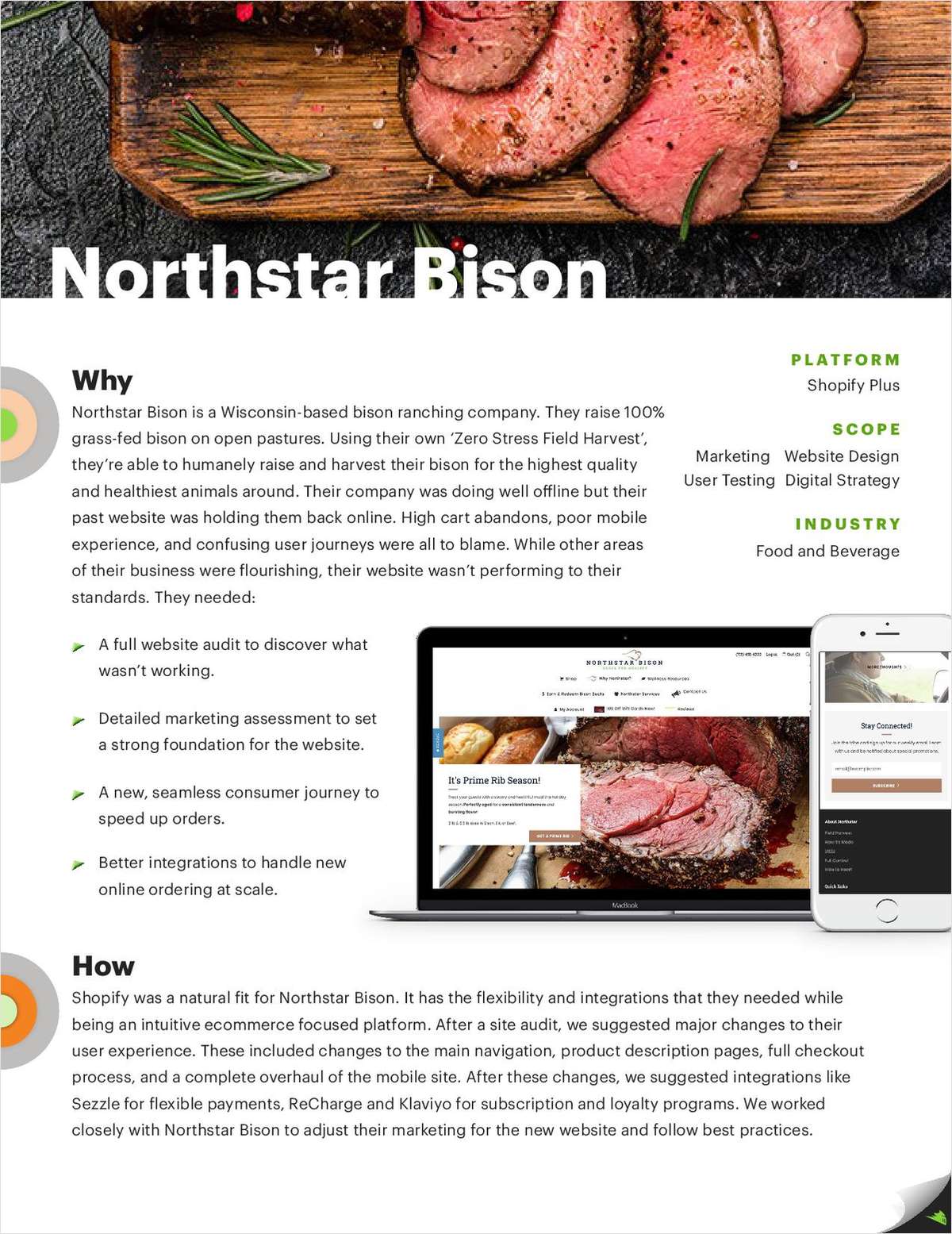 How Shopify Revolutionized Northstar Bison's Online Presence