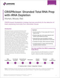 CRISPRclean Stranded Total RNA Prep with rRNA Depletion