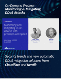 Monitoring and Mitigating DDoS Attacks with Precision and Speed