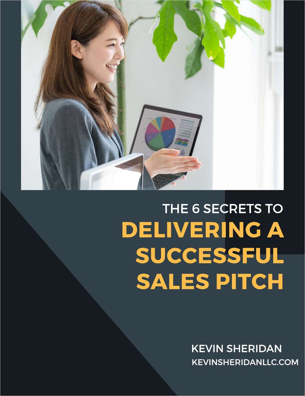 The 6 Secrets to Delivering a Successful Sales Pitch