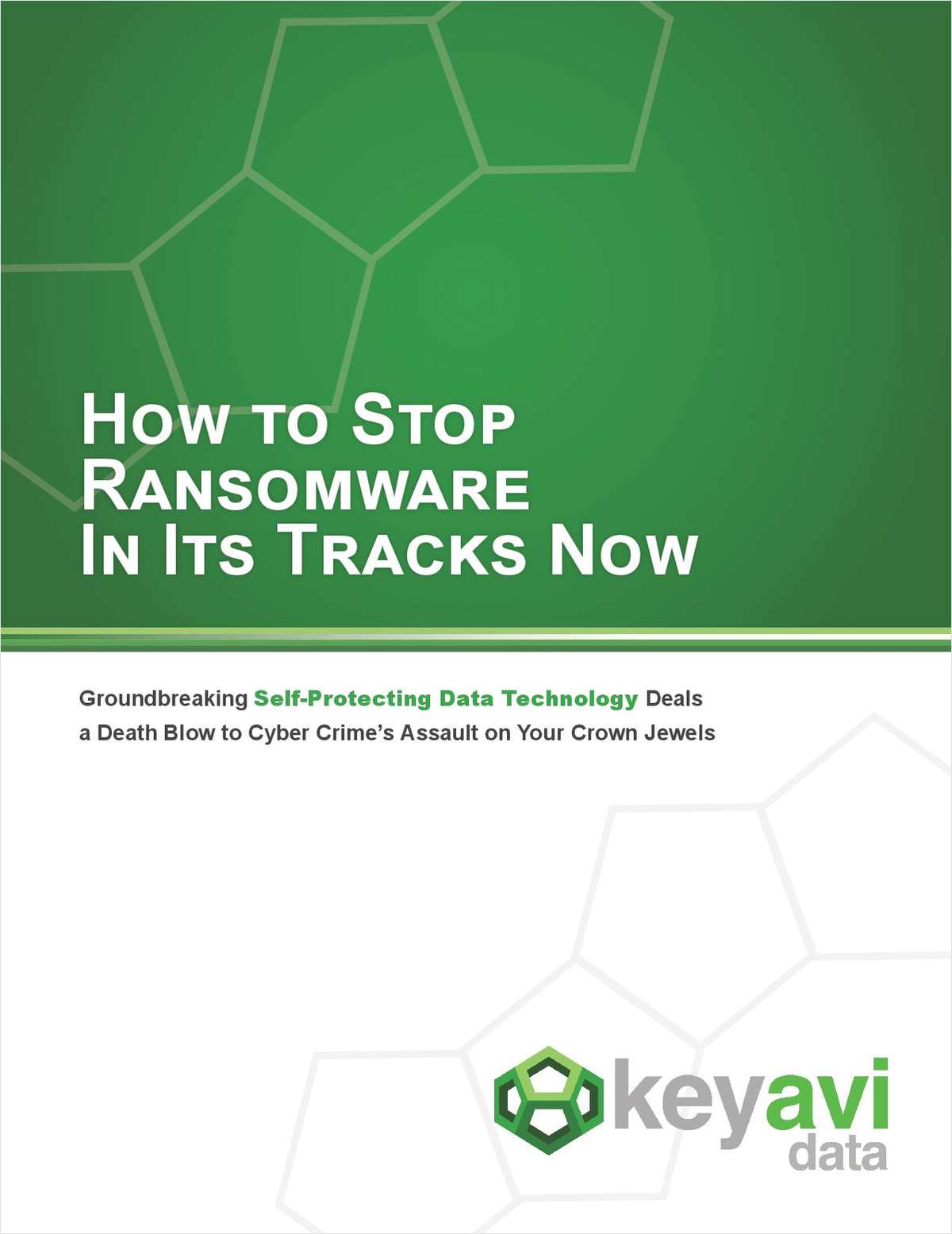 How to Stop Ransomware In Its Tracks Now