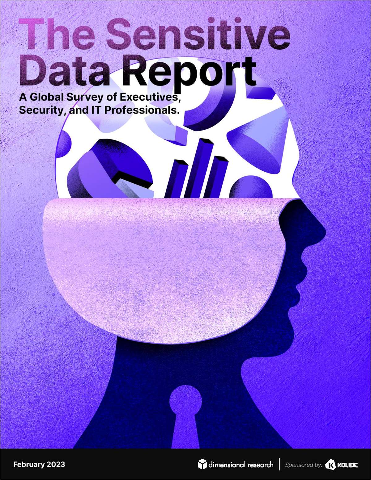 The Sensitive Data Report