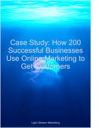 Case Study: How 200 Successful Businesses Leverage Online Marketing to Get Customers