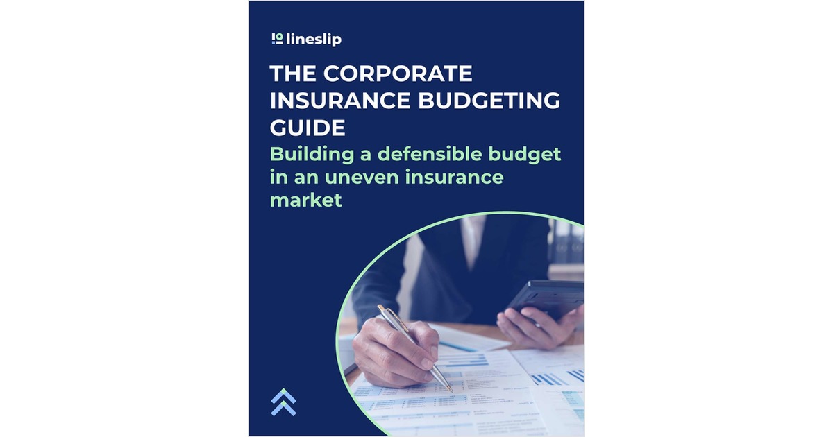 The Corporate Insurance Budgeting Guide Free eBook