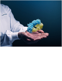 A Comprehensive and Flexible Approach to CMC for Fab and Fc-Fusion Development Programs