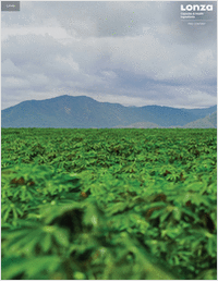 Expert guidance: What it takes to lead in organic supplements