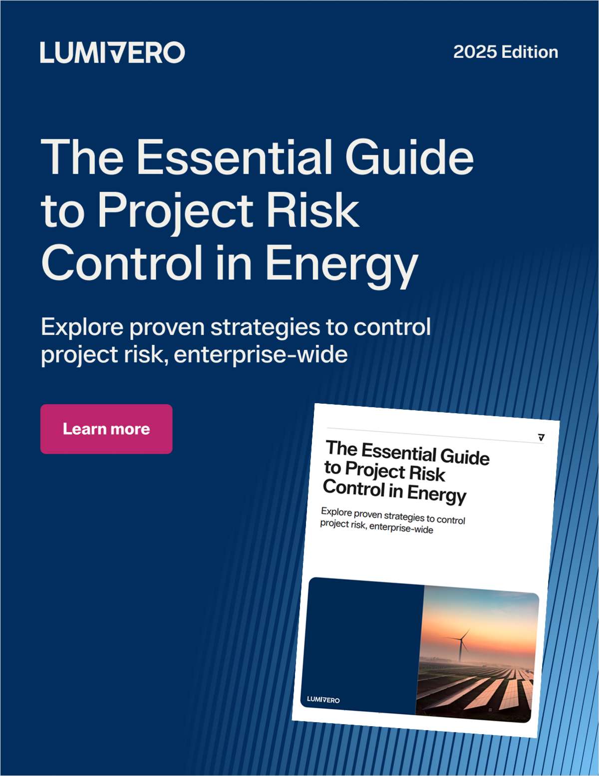 The Essential Guide to Project Risk Control in Energy
