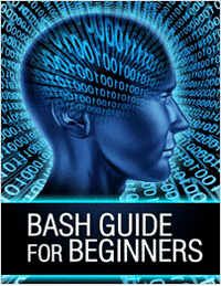 Bash Guide for Beginners