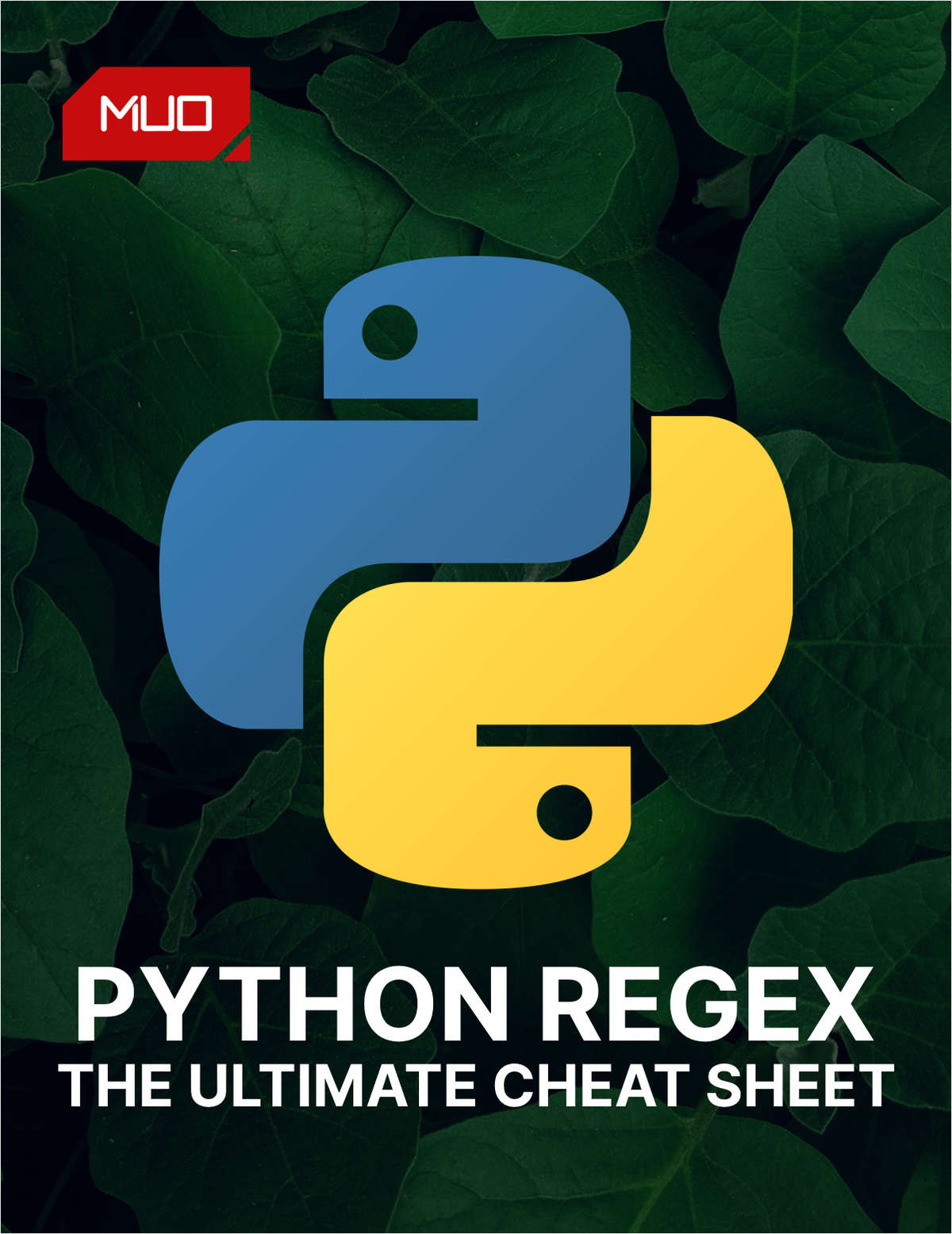 The Python RegEx Cheat Sheet for Budding Programmers