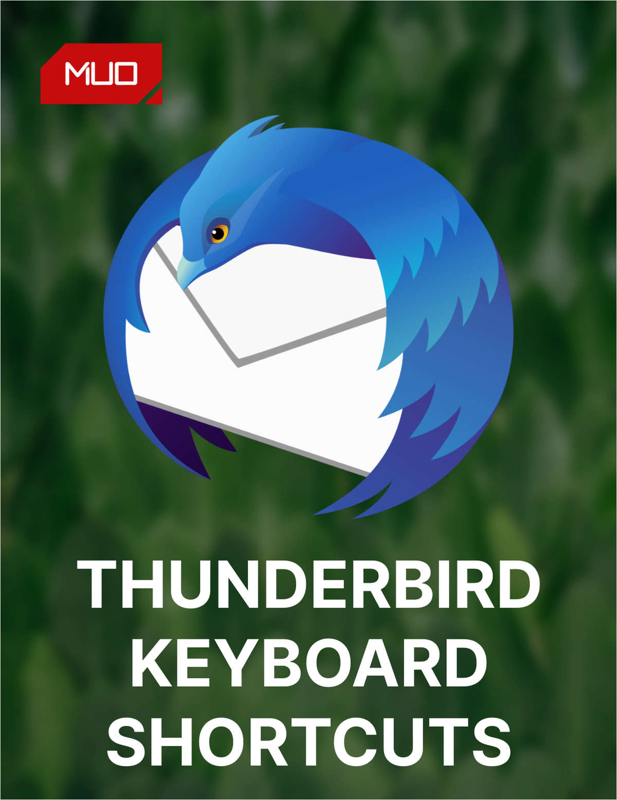 Mozilla Thunderbird: Every Keyboard Shortcut You Need to Master