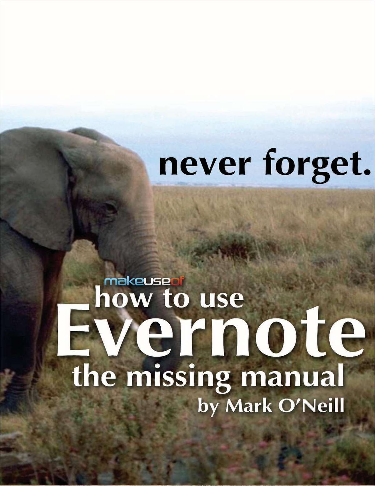 How to Use Evernote: The Missing Manual