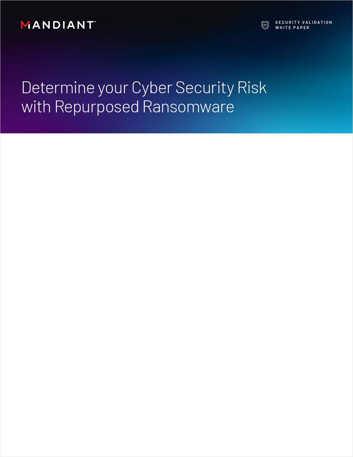 Determine your Cyber Security Risk with Repurposed Ransomware