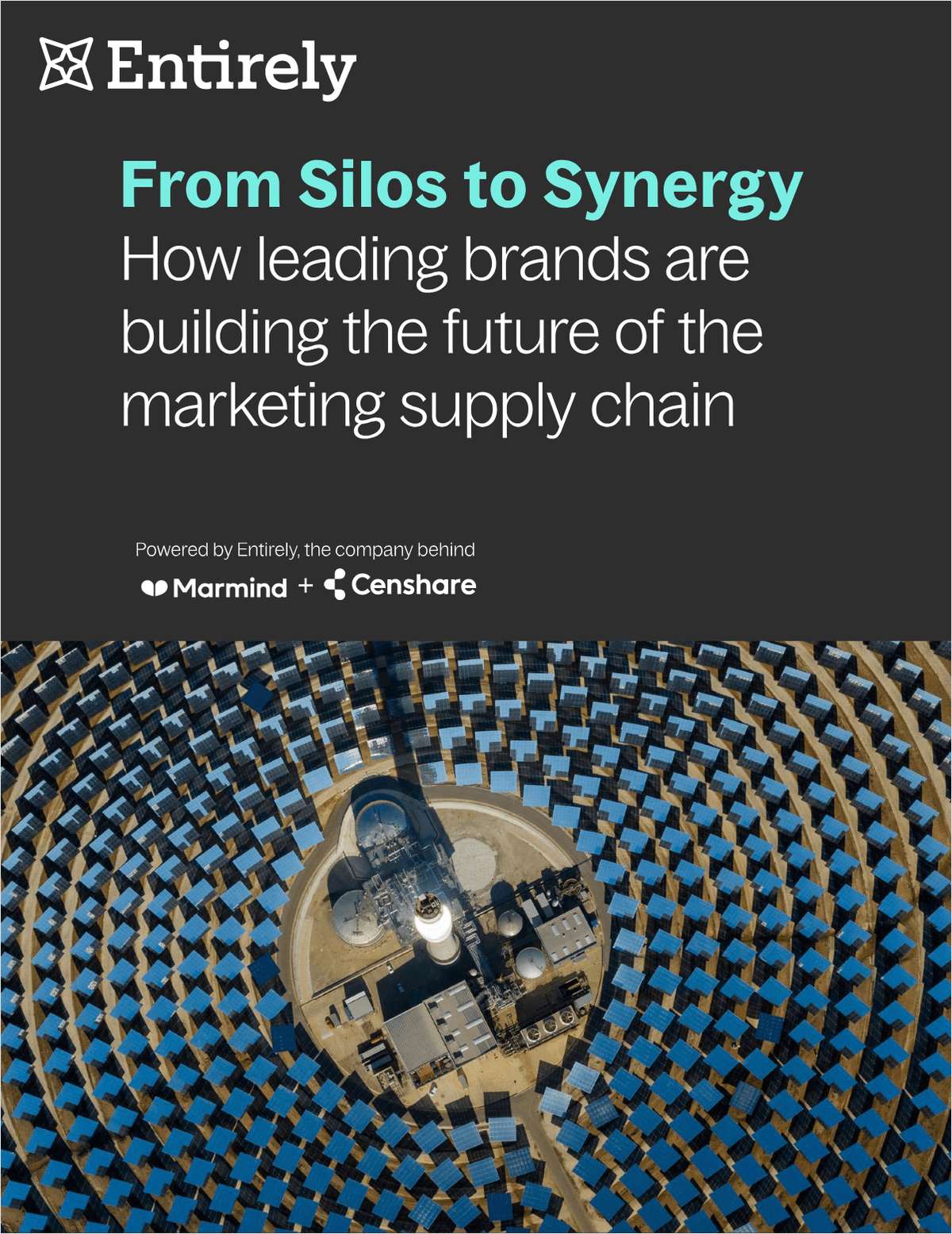From Silos to Synergy