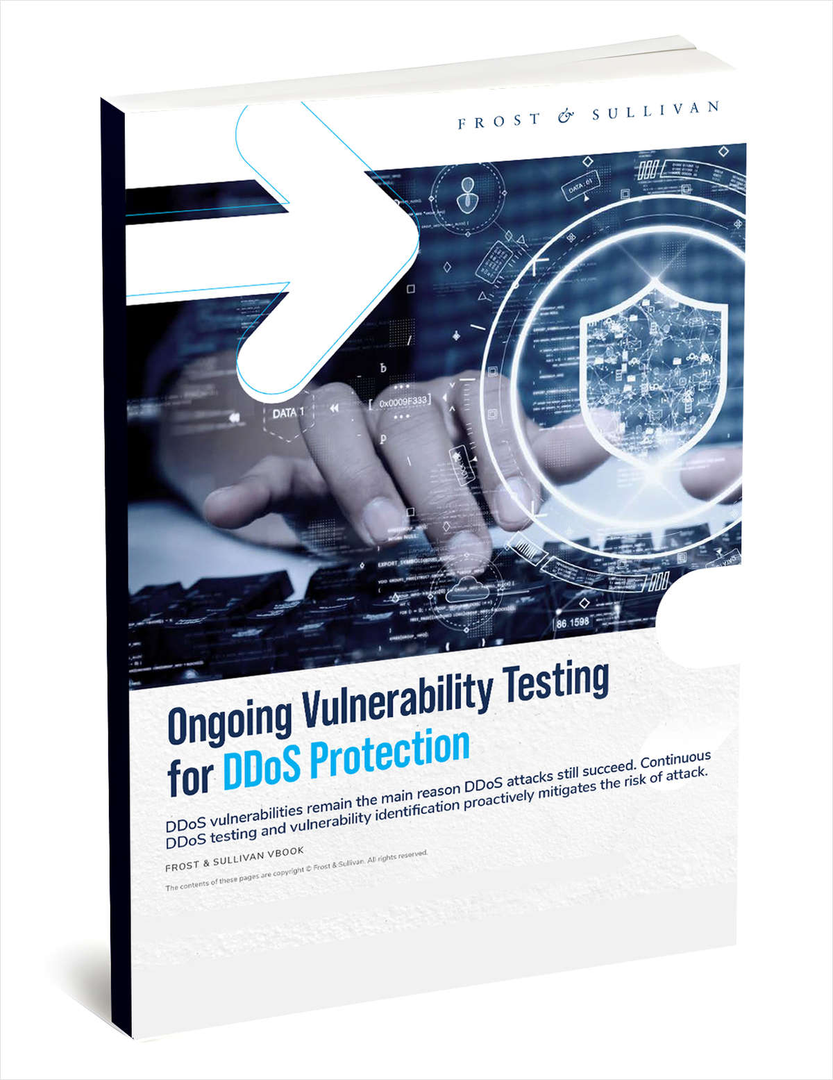 Frost & Sullivan Report: Ongoing Vulnerability Testing for DDoS Protection