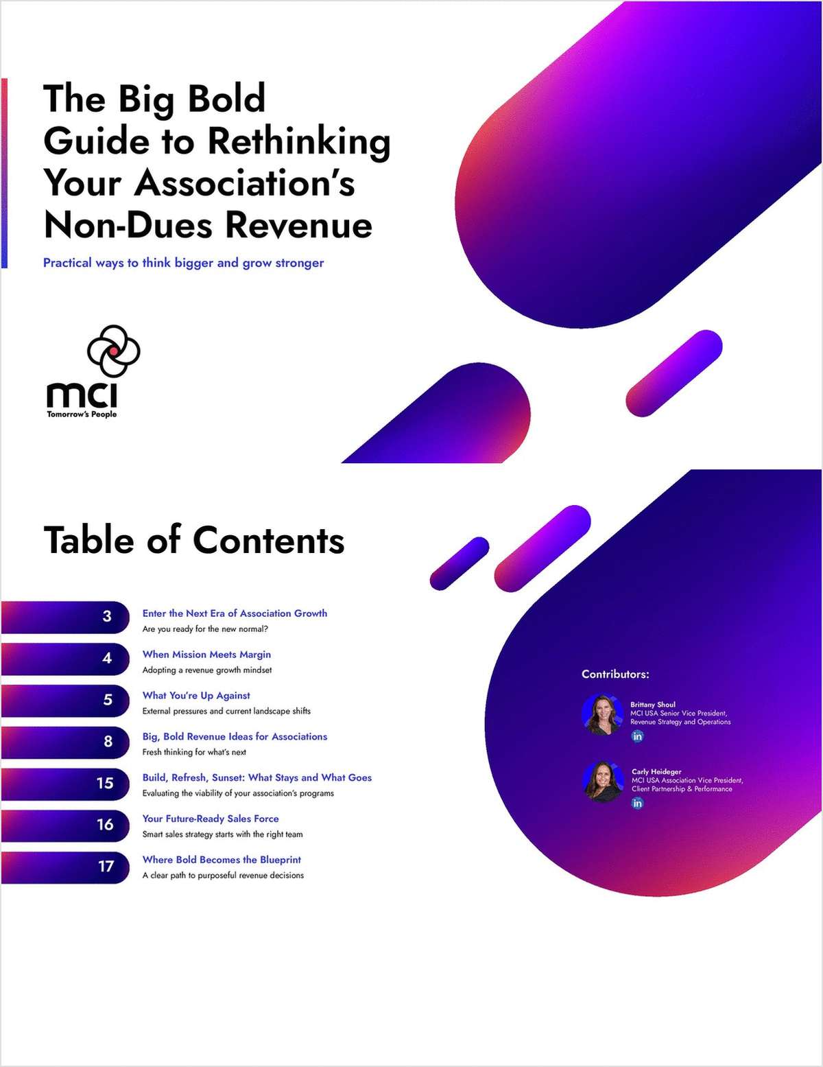 The Big Bold Guide to Rethinking Your Association's Non-Dues Revenue