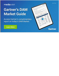 2020 Gartner Market Guide for Digital Asset Management'
