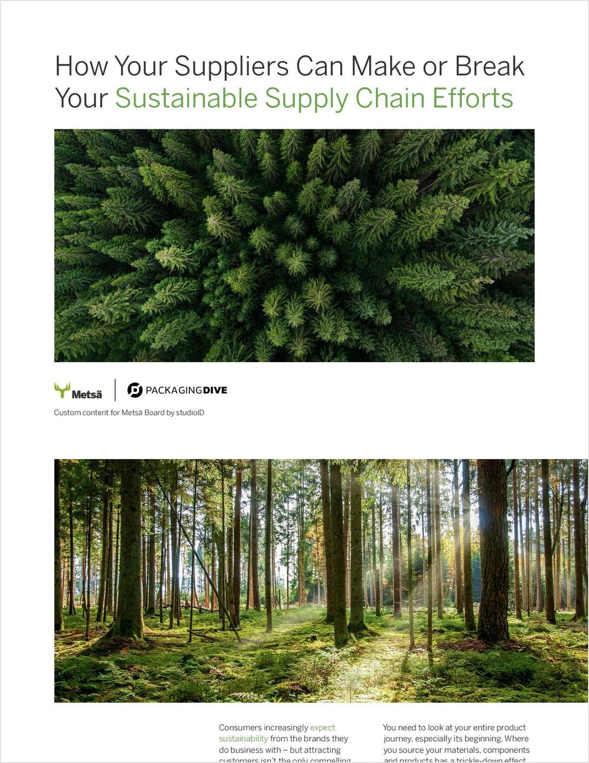 Why Suppliers Play a Key Role in Your Sustainability Efforts