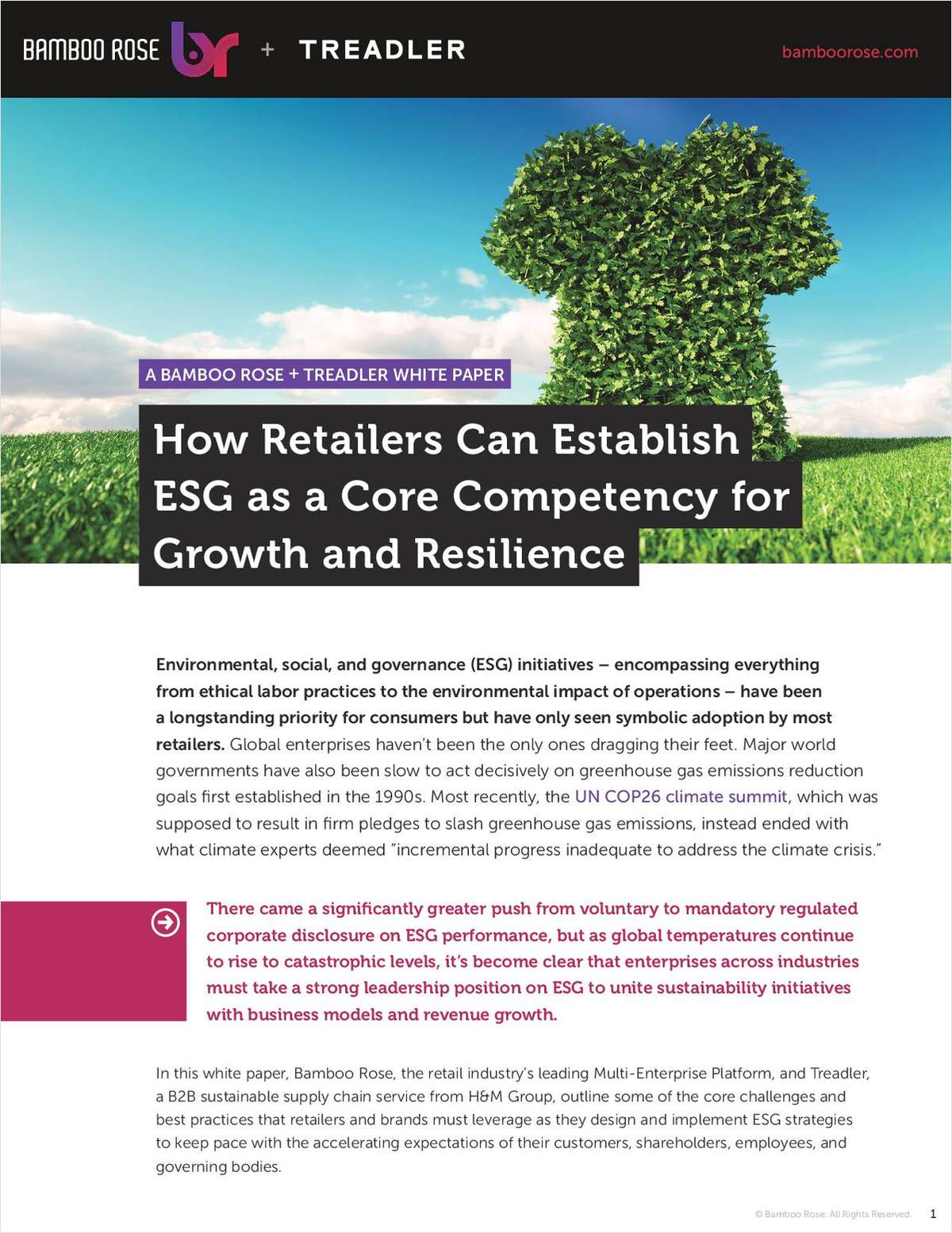 How Retailers Can Establish ESG as a Core Competency for Growth and Resilience