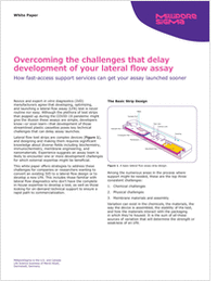 Overcoming the Challenges That Delay Development of Your Lateral Flow Assay
