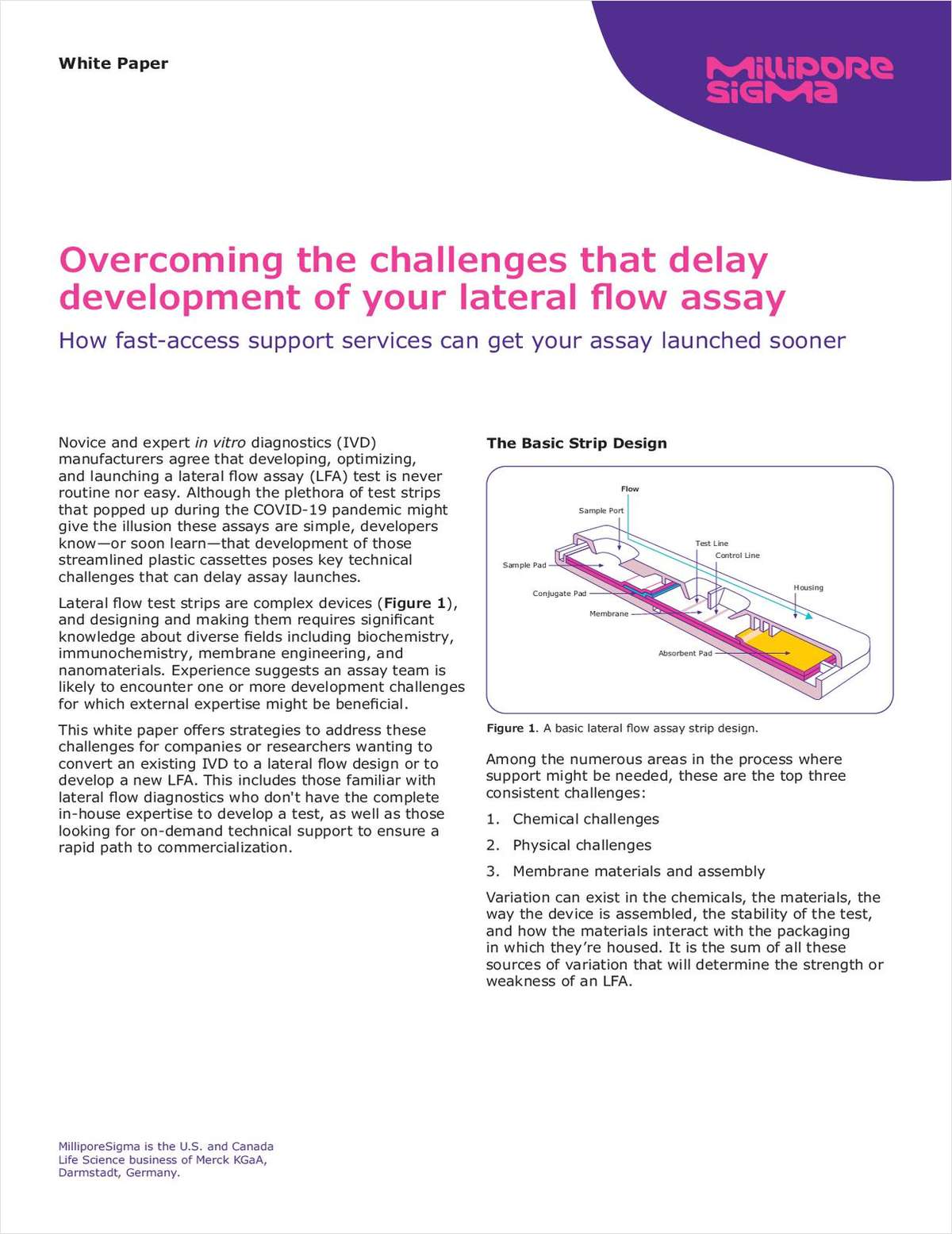 Overcoming the Challenges That Delay Development of Your Lateral Flow Assay
