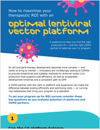 Maximizing therapeutic ROI: How to boost lentiviral vector production