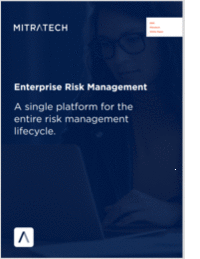 Enterprise Risk Management (ERM)