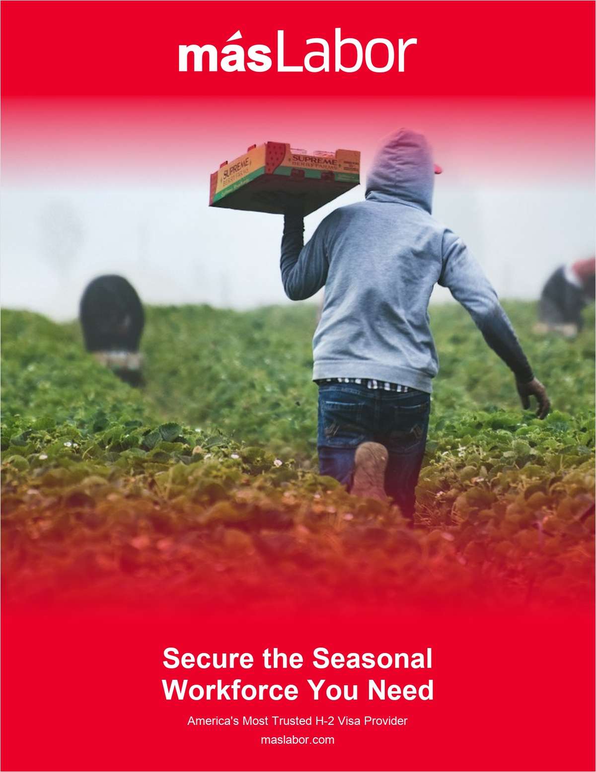 Secure the Seasonal Workforce You Need. Legal, Reliable, and Compliant. Backed by America's Most Trusted H 2 Visa Provider.