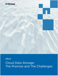 Cloud Data Storage:The Promise and The Challenges