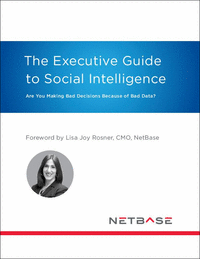 Executive Guide to Social Intelligence Ebook