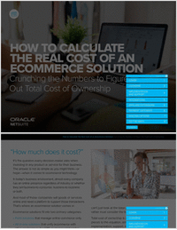 How To Calculate the Real Cost of an eCommerce Solution