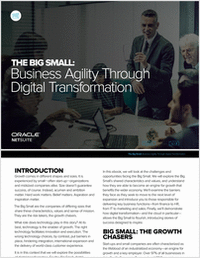 The Big Small: Business Agility through Digital Transformation