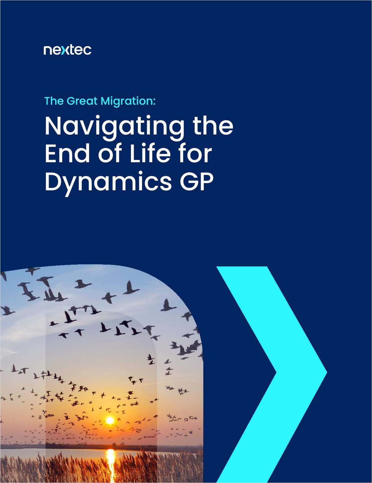 The Great Migration: Navigating the End of Life for Dynamics GP