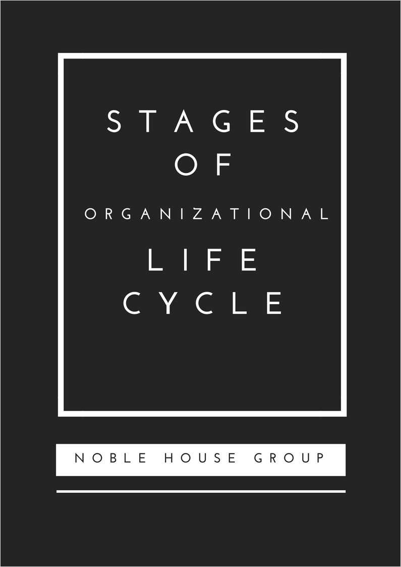 Stages of Organizational Life Cycle