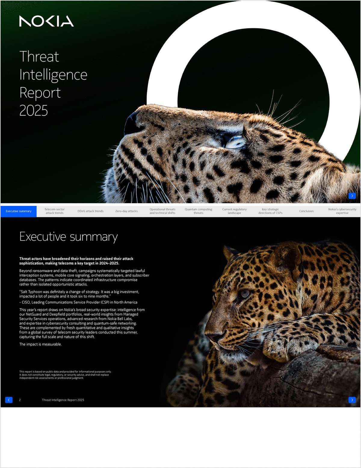 Threat Intelligence Report 2025
